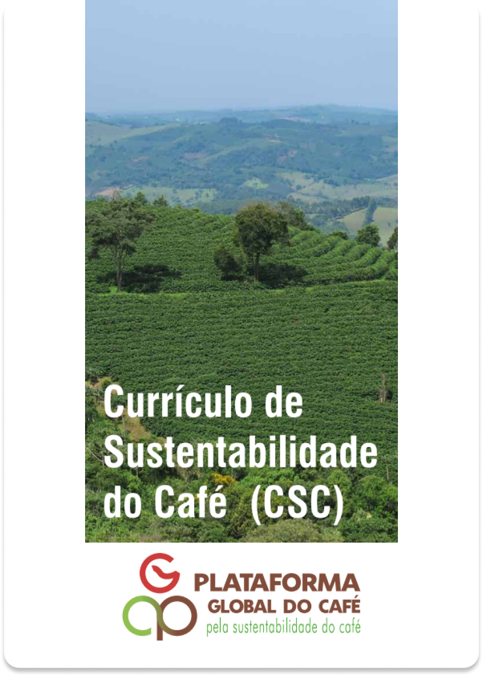 O que é o Currículo de </br> Sustentabilidade do Café?