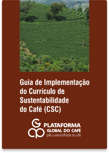 Guia de Implementação